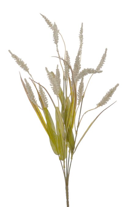 Reed Grass 47cm