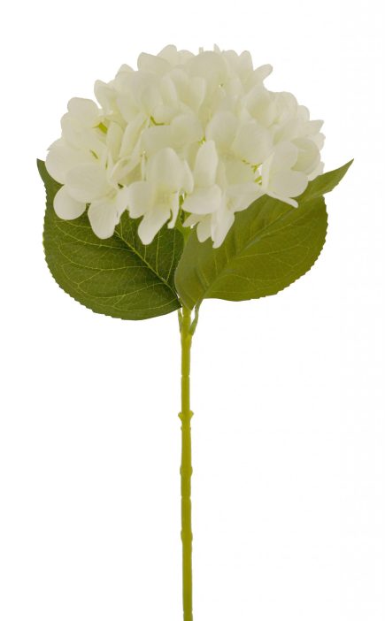 Hydrangea Stem 69cm