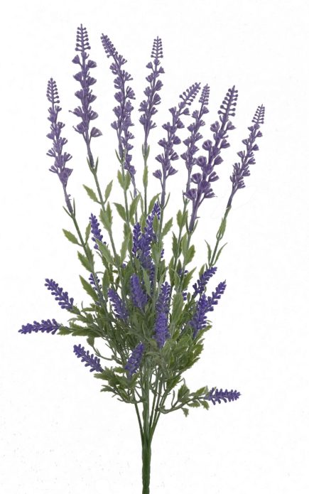 Lavender Bush 48cm