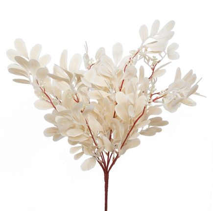 Jujube Leaf Bush 49cm