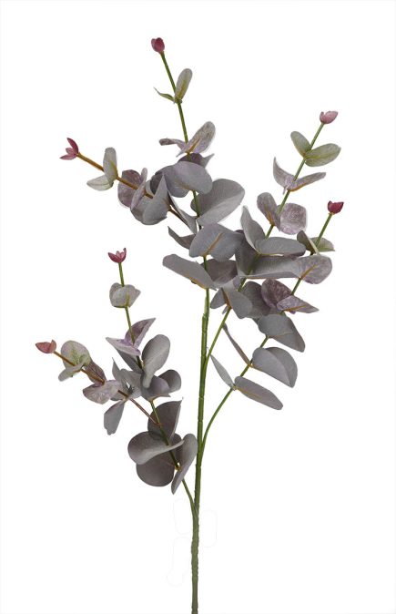 Dried Eucalyptus Stem 88cm