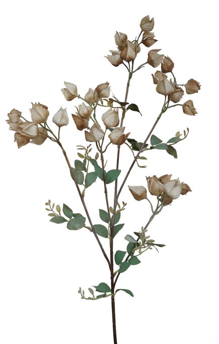 Dried Lantern Spray 90cm