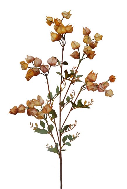 Dried Lantern Spray 90cm