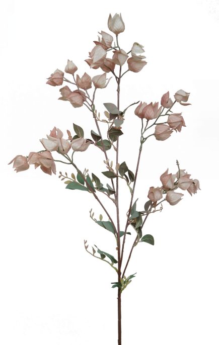 Dried Lantern Spray 90cm