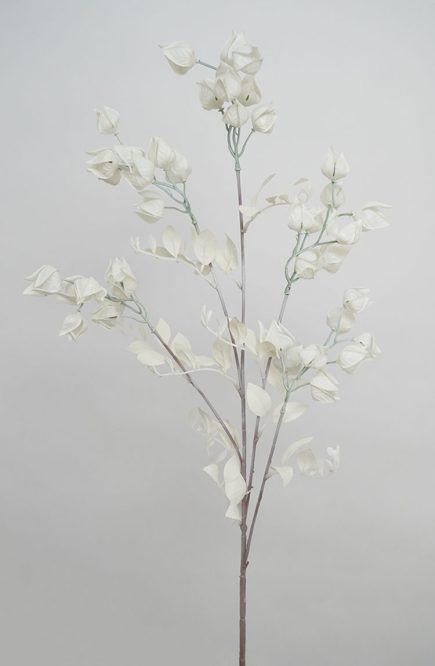 Dried Lantern Spray 90cm