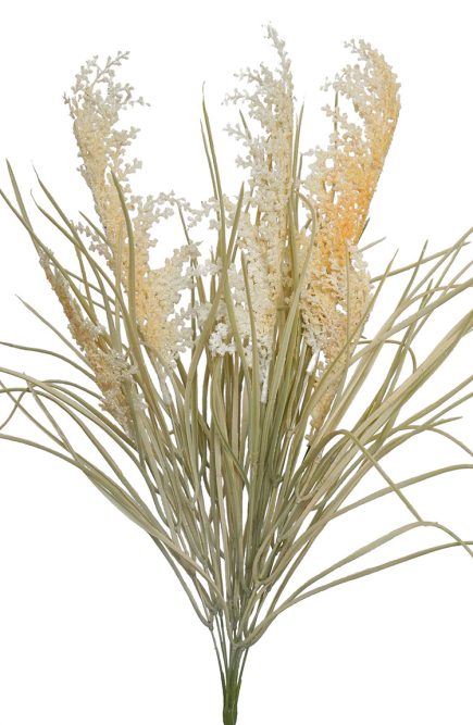 Pampas Grass 70cm