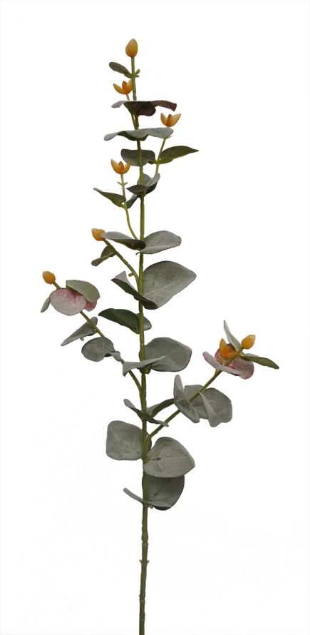 Eucalyptus Stem 70cm