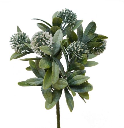 Flowering Ball Bush 28cm