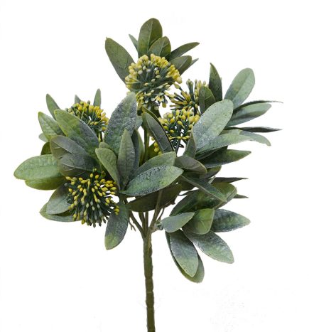 Flowering Ball Bush 28cm