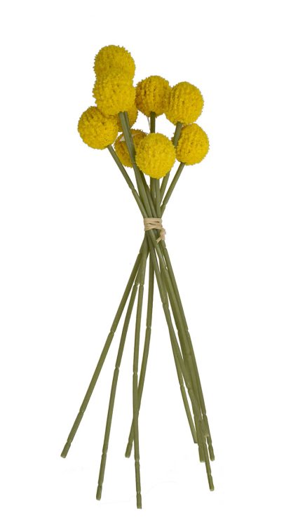 Billy Botton Bouquet 26cm