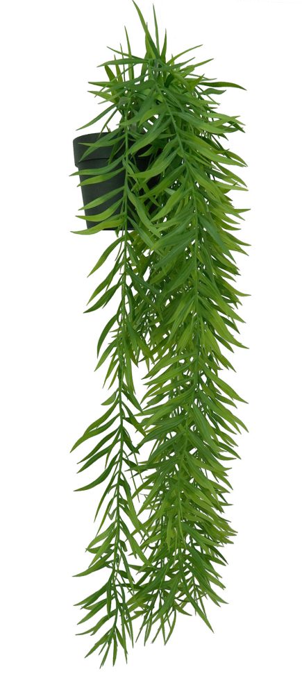 Potted Hanging Palm 65cm