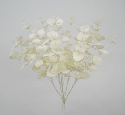 Eucalyptus Bush 50cm