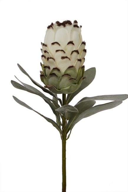 Flocked Protea Spray 75cm
