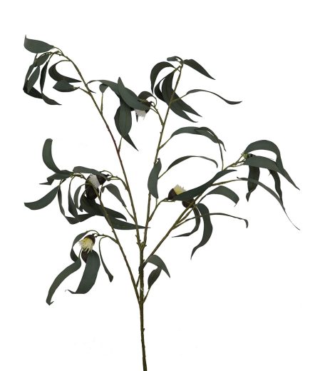 Gumnut Branch 105cm