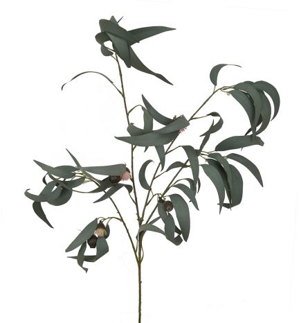 Gumnut Branch 105cm