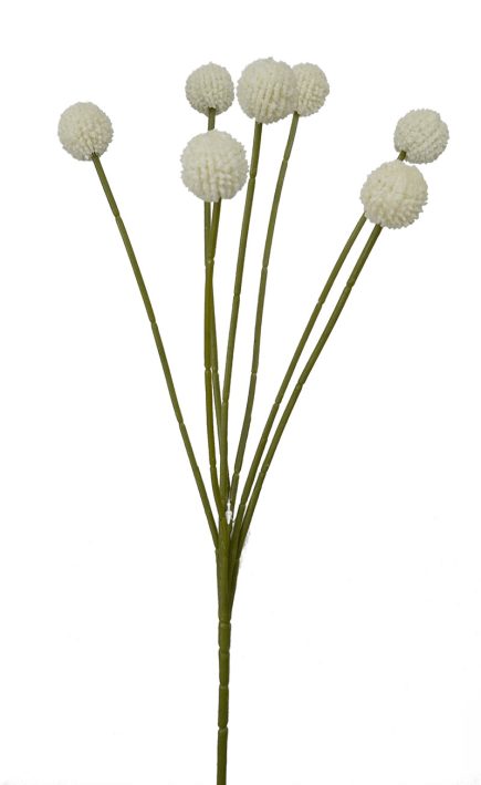 %Billy Buttom Spray 62cm