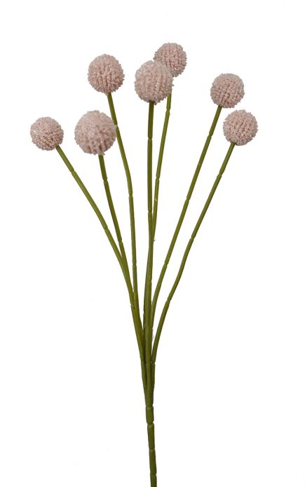 %Billy Buttom Spray 62cm