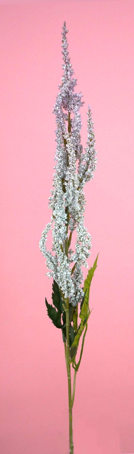 Astilbe Spray 74cm