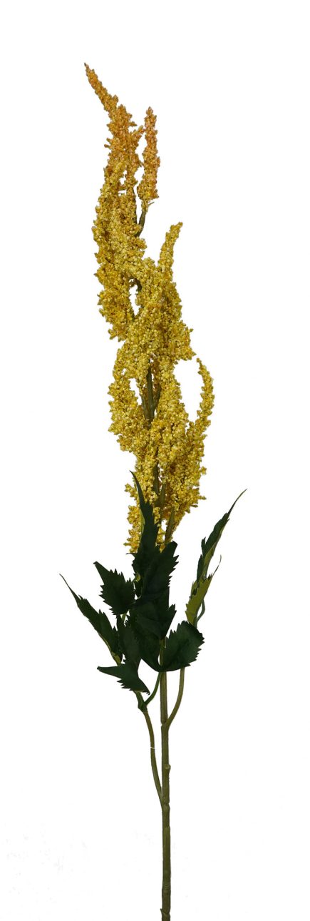 Astilbe Spray 74cm