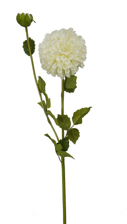 Dhalia Stem 80cm