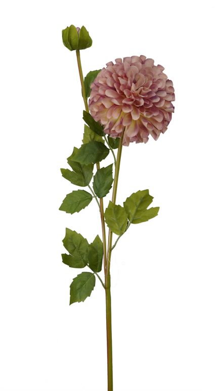 Dhalia Stem 80cm