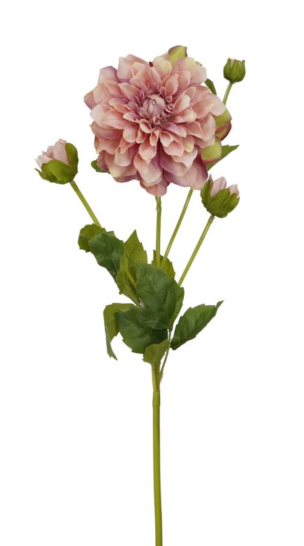 Dhalia Spray 80cm