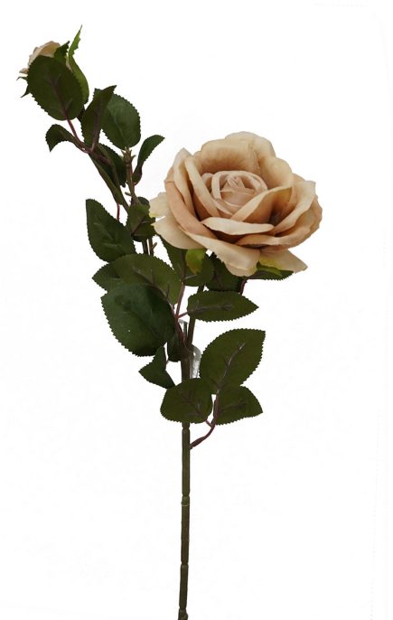 2H Open Rose Stem 67cm