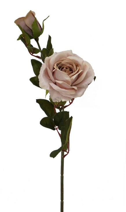 2H Open Rose Stem 67cm