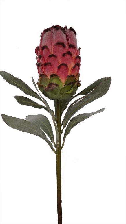 Flocked Protea Spray 75cm