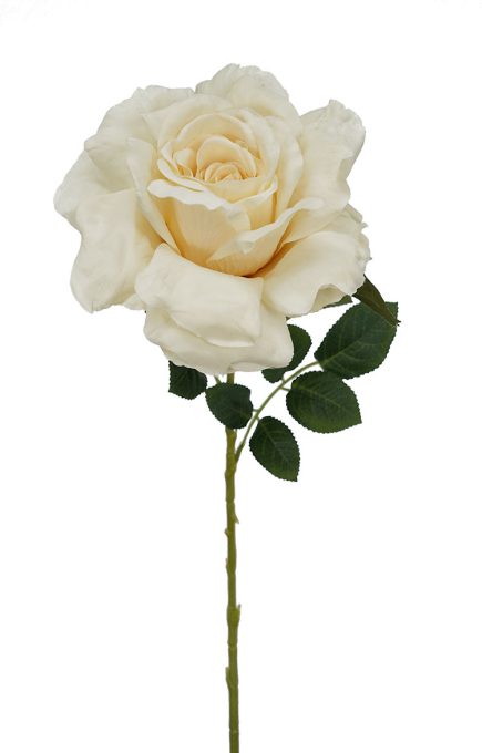 Single Stem Rose 70cm