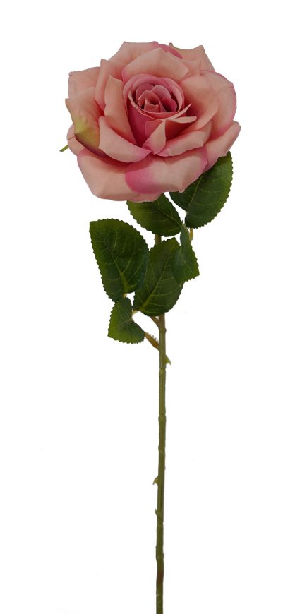 Single Stem Rose 50cm