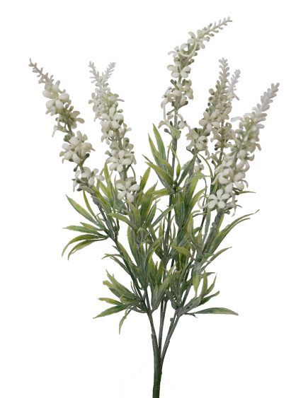 Flowering Lavender Bush 38cm