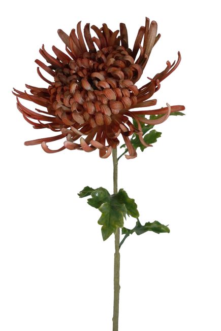 Real Touch Chrysanthemum Stem 75CM