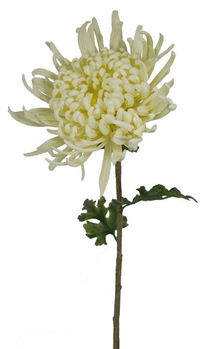 Real Touch Chrysanthemum Stem 75CM