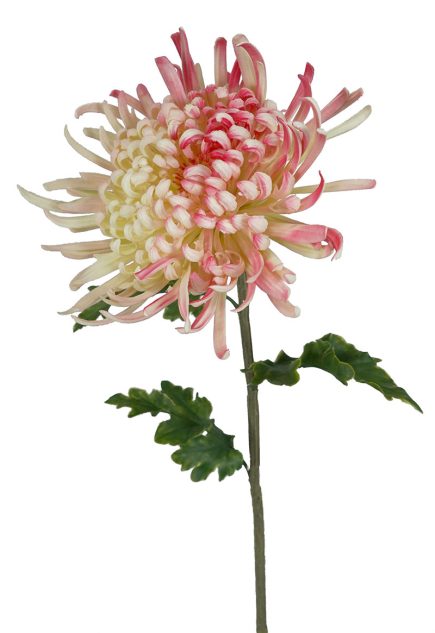 Real Touch Chrysanthemum Stem 75CM