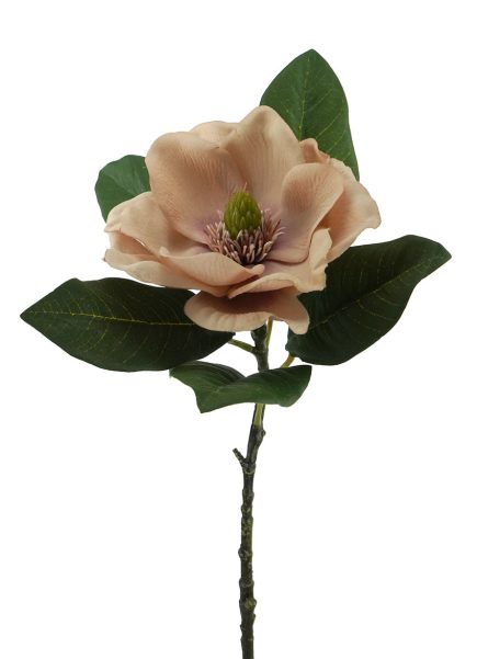 Magnolia Stem 71CM