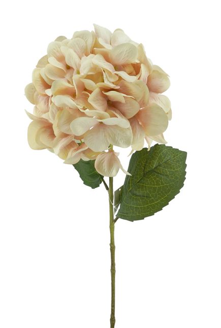 Hydrangea Stem 70CM