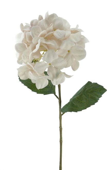 Hydrangea Stem 70CM