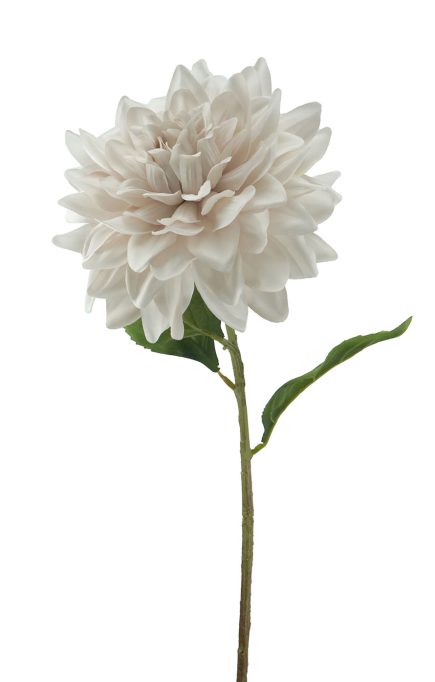 Dahlia Stem 68CM