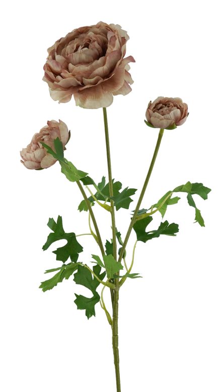3H Ranunculus 61cm