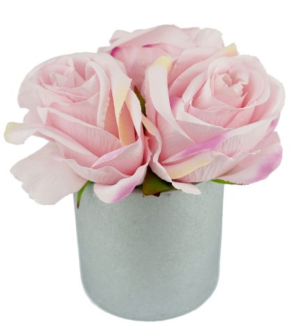Potted Rose 16cm