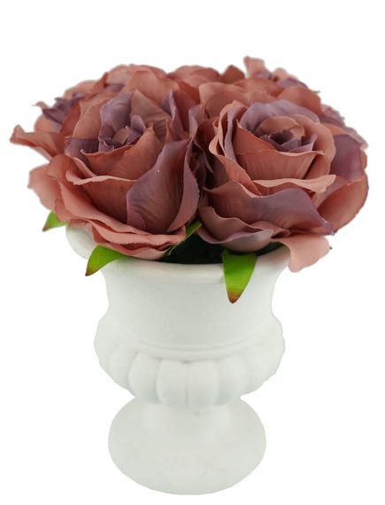 Potted Urn Rose 20cm