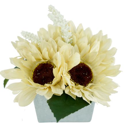 Potted Sunflower 19cm
