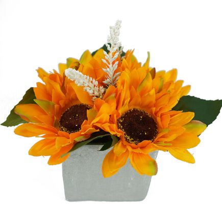 Potted Sunflower 19cm