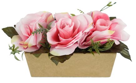 Potted Tray Roses 12cm