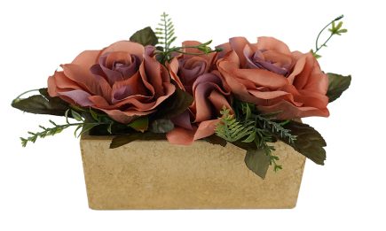 Potted Tray Roses 12cm