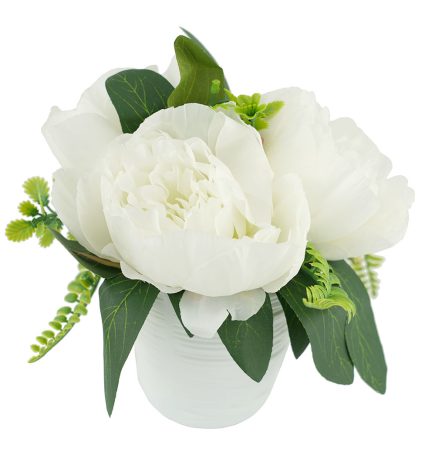 Potted Peony BQT 18cm