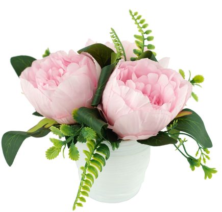 Potted Peony BQT 18cm