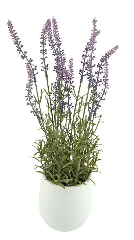 Potted lavender 42.5cm
