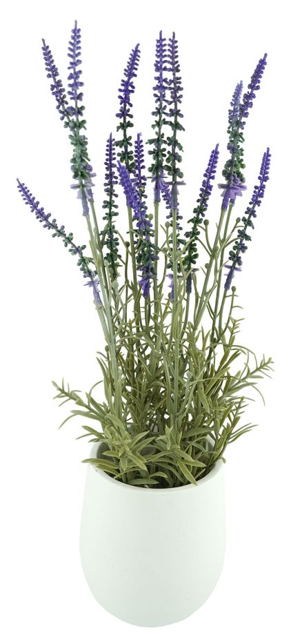 Potted lavender 42.5cm